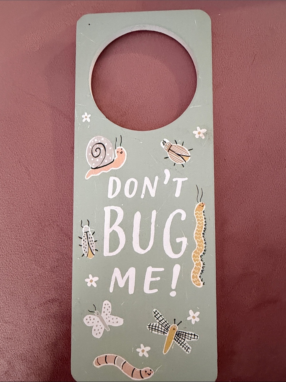 Hobby Lobby Green "Don't Bug Me" Door Hanger with Pink Accents
